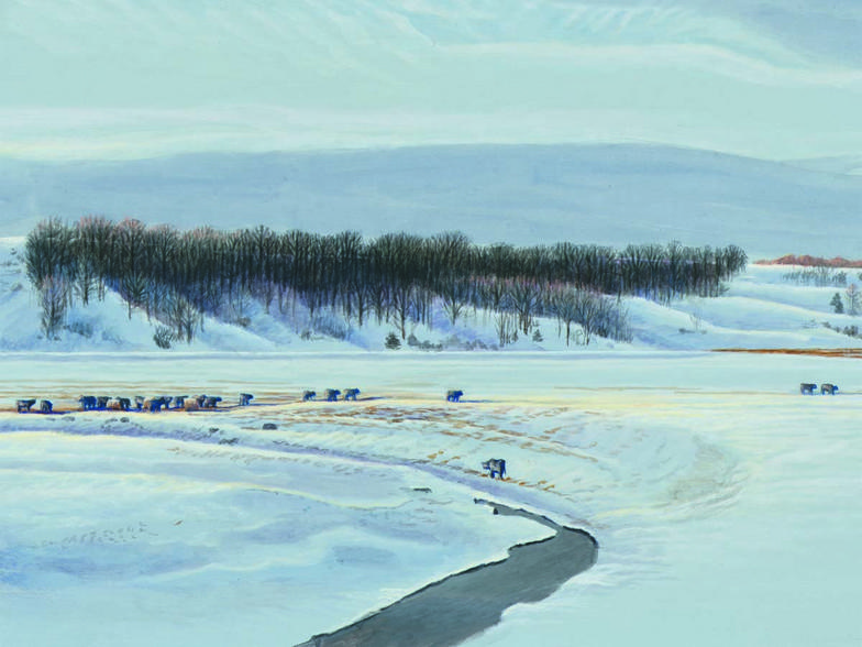 A winding river through a broad Iowa winter landscape